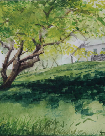 Walter van Dieren | Boomgaard in Apchon
