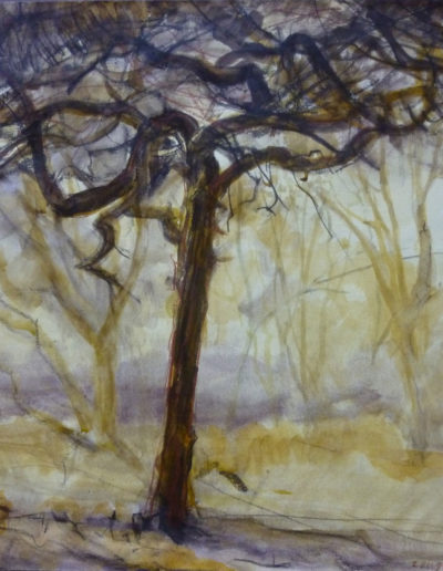 Walter van Dieren | Oude boom in de Kennemerduinen (bruin- en okertonen)